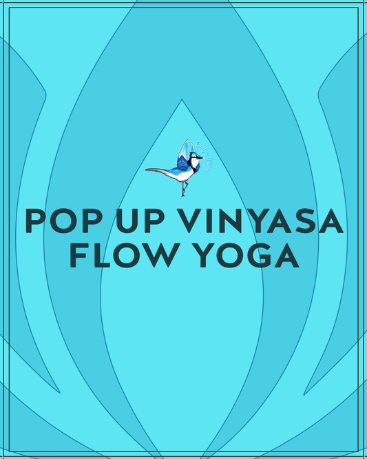 Pop Up Vinyasa Flow 2.28.26 @ 9:30am