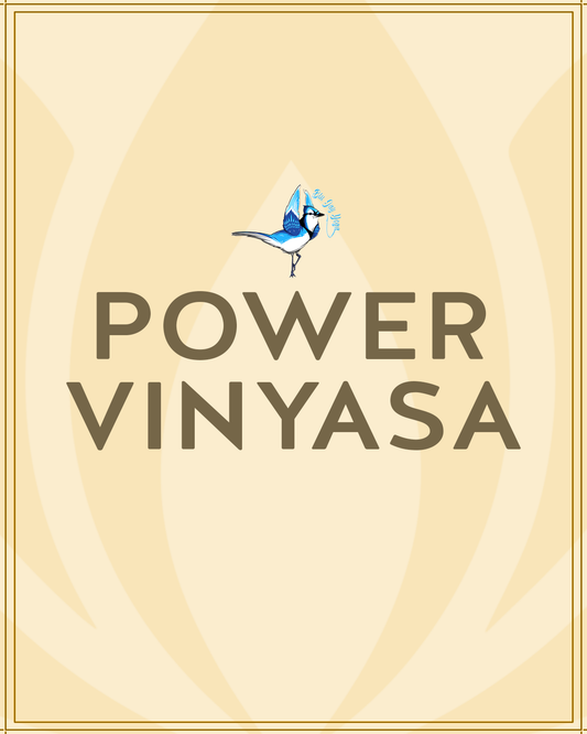 Power Vinyasa 2.21.26 @ 9:30am